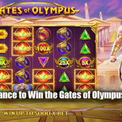 The Best Chance to Win the Gates of Olympus Online Slot