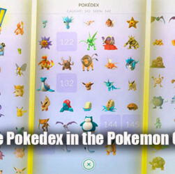 About the Pokedex in the Pokemon Go Game